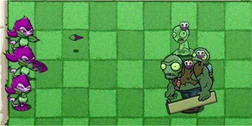 pvzbt最新爆料,揭秘植物大战僵尸最新动态与秘辛